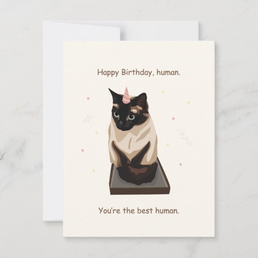 Funny Cat Birthday Card Feestdagenkaart (Voorkant)