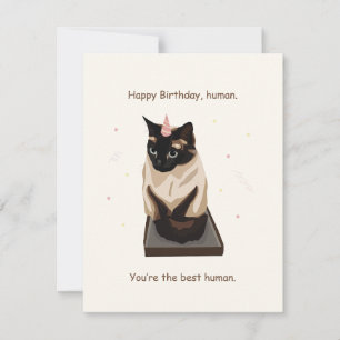 Funny Cat Birthday Card Feestdagenkaart