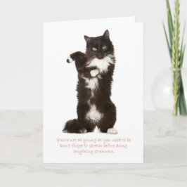 Funny Cat Birthday Card Kaart