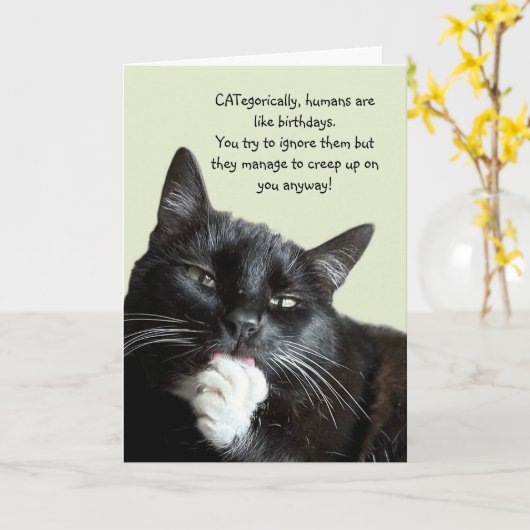 Funny Cat Birthday Card Kaart (Gele Bloem)