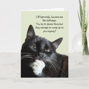 Funny Cat Birthday Card Kaart