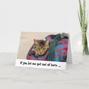 Funny Cat Birthday Card Kaart