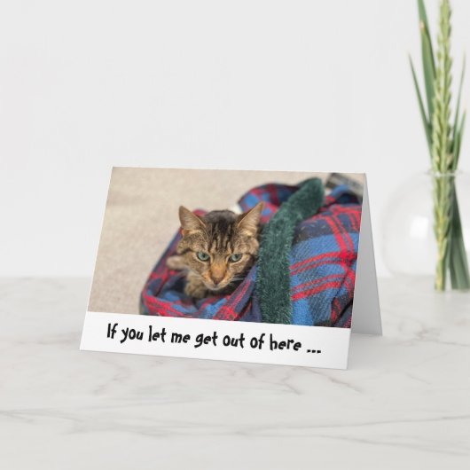 Funny Cat Birthday Card Kaart (Voorkant)