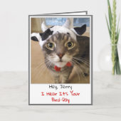Funny Cat Birthday Card Kaart (Voorkant)