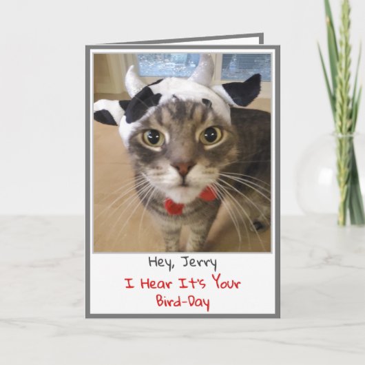 Funny Cat Birthday Card Kaart (Voorkant)