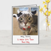 Funny Cat Birthday Card Kaart (Gele Bloem)