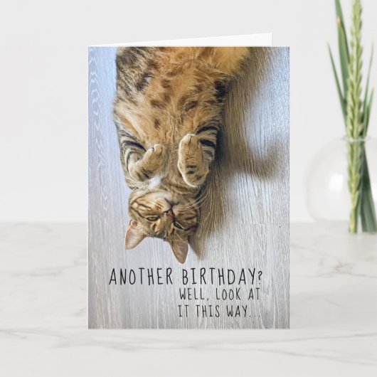 Funny Cat Birthday Card Kaart (Voorkant)