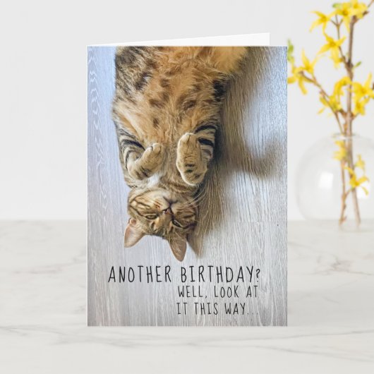 Funny Cat Birthday Card Kaart (Gele Bloem)