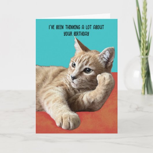 Funny Cat Birthday Card Kaart (Voorkant)