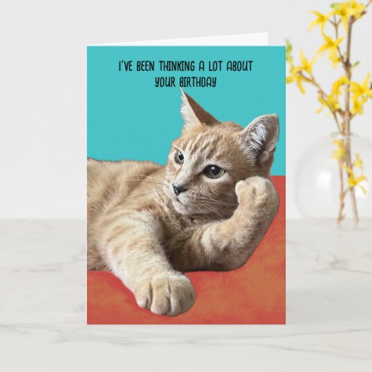 Funny Cat Birthday Card Kaart (Gele Bloem)