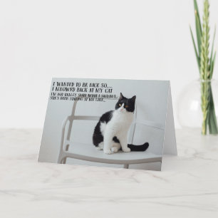 Funny Cat Birthday Greeting Card  Kaart
