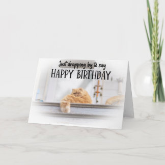 Funny Cat Birthday Greeting Card Kaart