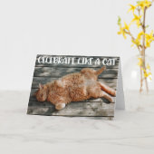 Funny Cat Birthday Greeting Card Kaart (Gele Bloem)