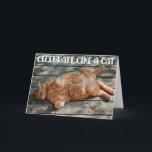 Funny Cat Birthday Greeting Card  Kaart<br><div class="desc">Funny Cat chilling Birthday greeting Card for the cat lovers in your life. This cute greeting card is a perfect way to wish Happy Birthday to a friend,  co-worker,  family member or a special someone.</div>
