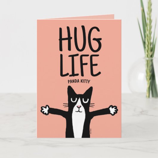 FUNNY CAT BIRTHDAY HUG LIFE PANDA KAT KAART (Voorkant)