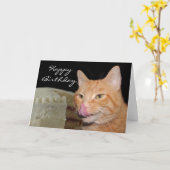 Funny cat Birthday Kaart (Gele Bloem)