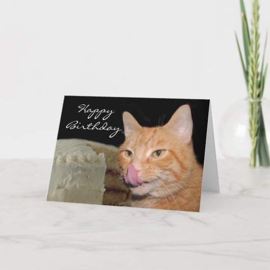 Funny cat Birthday Kaart (Voorkant)