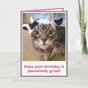 Funny Cat Birthday Kaart