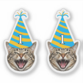 Funny Cat Birthday Sticker – Custom Face & Age