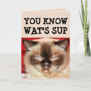 FUNNY CAT BIRTHDAY Wenskaart Kaart