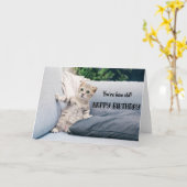 Funny Cat Birthday Wenskaart Kaart (Gele Bloem)