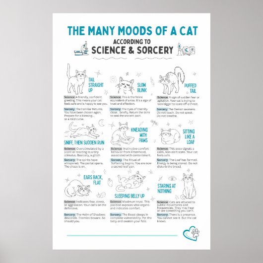 Funny Cat Body Language Poster – Feline Mood Chart (Voorkant)