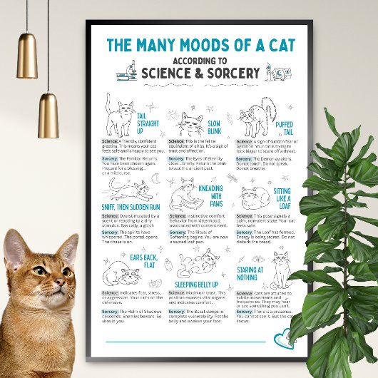 Funny Cat Body Language Poster – Feline Mood Chart