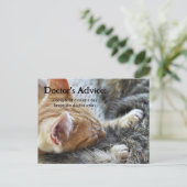 Funny Cat Booze krijgen snel Briefkaart (Staand voorkant)