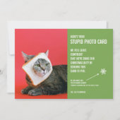 Funny Cat Bread Mask kerstapid-fotokaart Feestdagenkaart (Voorkant)