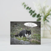 Funny cat briefkaart (Staand voorkant)