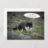 Funny cat briefkaart (Voorkant / Achterkant)