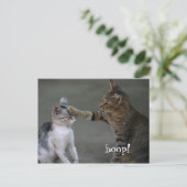 Funny Cat Briefkaart Boop (Staand voorkant)