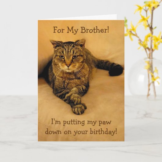 Funny Cat Brother Birthday Kaart (Gele Bloem)