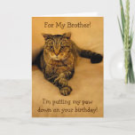 Funny Cat Brother Birthday Kaart<br><div class="desc">Een verjaardagskaart voor een broer die Rupie z'n poep neerlegt voor een bijzondere lol. Binnen foto-shows betekent hij zaken. Pas je eigen bericht aan. Bedankt voor het zoeken. Foto's ©Christine Greenspan</div>