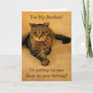 Funny Cat Brother Birthday Kaart
