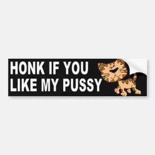 FUNNY CAT-BUMPERSTICKER BUMPERSTICKER