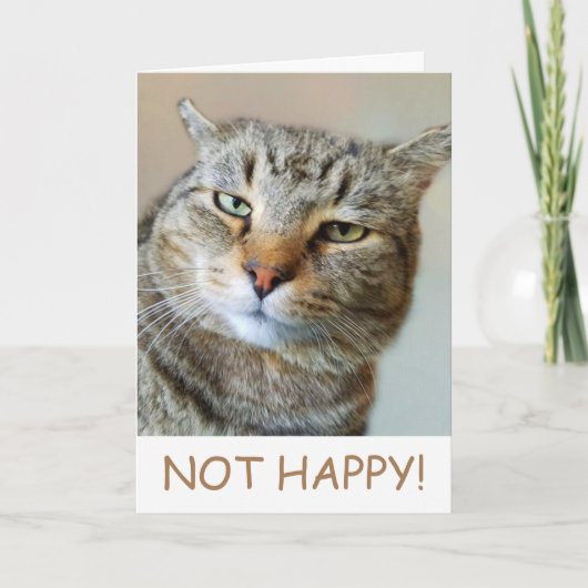 Funny Cat Cancer Support Kaart (Voorkant)