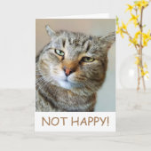 Funny Cat Cancer Support Kaart (Gele Bloem)