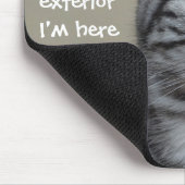 Funny Cat Caption Mess-up Furmu Muismat (Hoek)