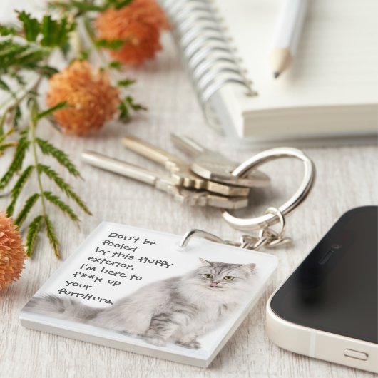 Funny Cat Caption Mess-up Furmu Sleutelhanger (Voorkant Rechts)