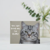 Funny Cat Caption Vertrouw me dat ik fluffy ben Briefkaart (Staand voorkant)