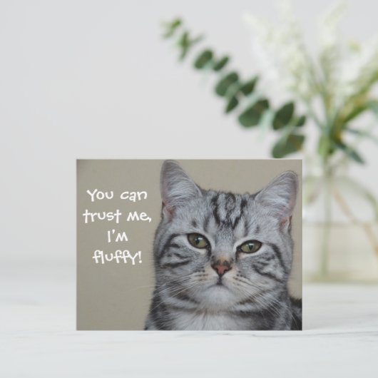 Funny Cat Caption Vertrouw me dat ik fluffy ben Briefkaart (Staand voorkant)