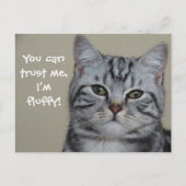 Funny Cat Caption Vertrouw me dat ik fluffy ben Briefkaart (Voorkant)