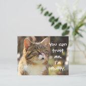 Funny Cat Caption Vertrouw me dat ik fluffy ben Briefkaart (Staand voorkant)