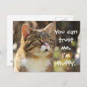 Funny Cat Caption Vertrouw me dat ik fluffy ben Briefkaart (Voorkant / Achterkant)