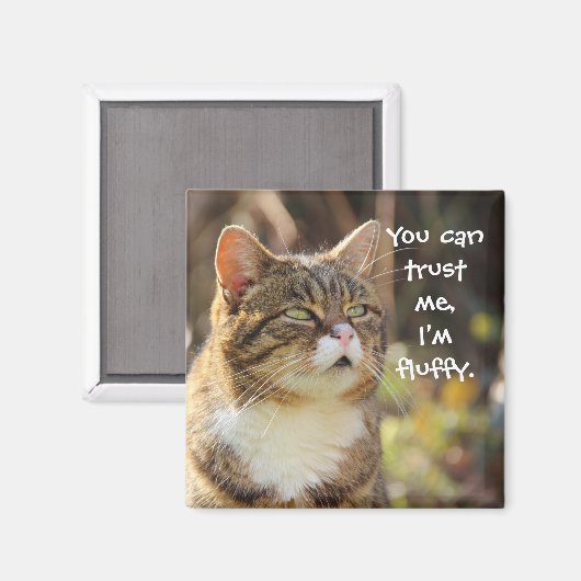 Funny Cat Caption Vertrouw me dat ik fluffy ben Magneet (Voorkant / Achterkant)