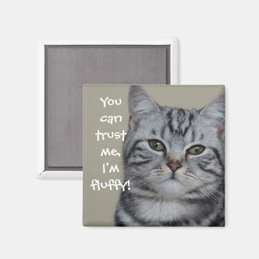 Funny Cat Caption Vertrouw me dat ik fluffy ben Magneet (Voorkant / Achterkant)