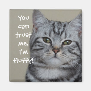 Funny Cat Caption Vertrouw me dat ik fluffy ben Magneet