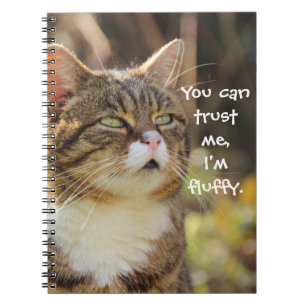 Funny Cat Caption Vertrouw me dat ik fluffy ben Notitieboek