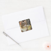 Funny Cat Caption Vertrouw me dat ik fluffy ben Vierkante Sticker (Envelop)